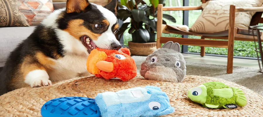 The Best Dog Toys for Heavy Chewers: Durable Options for Tough Play